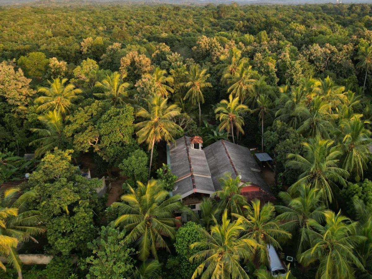 Wild View Stay Habarana Exterior photo